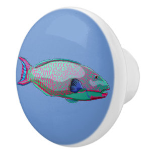 Papageienfisch Keramikknauf