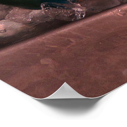 Papageienfisch Poster (Ecke)