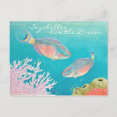 Papageienfisch Postkarte (Vorderseite)