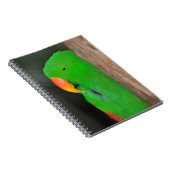 Papageienheft Notizblock (Rechte Seite)