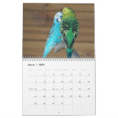 Papageienkalender 2025 kalender (Mär 2027)