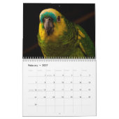 Papageienkalender 2025 kalender (Feb 2027)