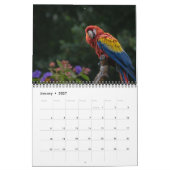 Papageienkalender 2025 kalender (Jan 2027)