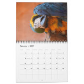 Papageienkalender 2025 kalender (Feb 2027)