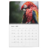 Papageienkalender 2025 kalender (Mär 2027)