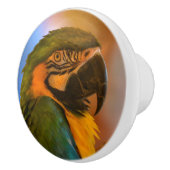 Papageienknöpfe Keramikknauf (Rechts)