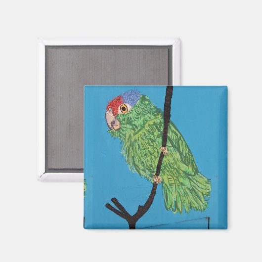 Papageienmagnet Magnet (Vorderseite/Rückseite)