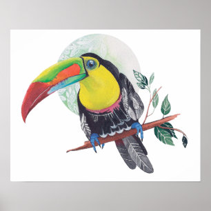 Papageienmalerei Kunstdruck Exotische Vogelnatron Poster