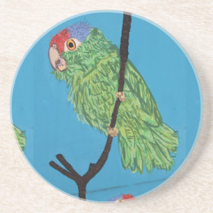 Papageienposter Untersetzer
