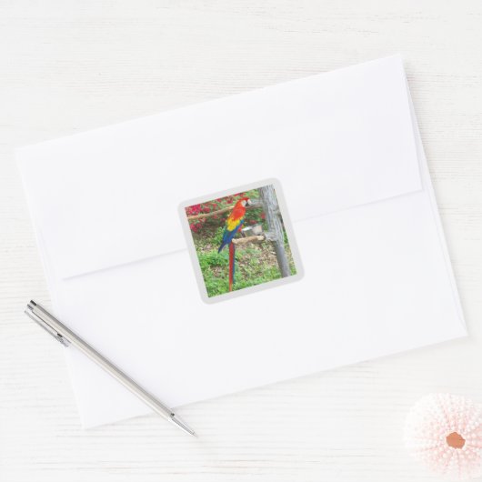Papageiensticker Quadratischer Aufkleber (Umschlag)