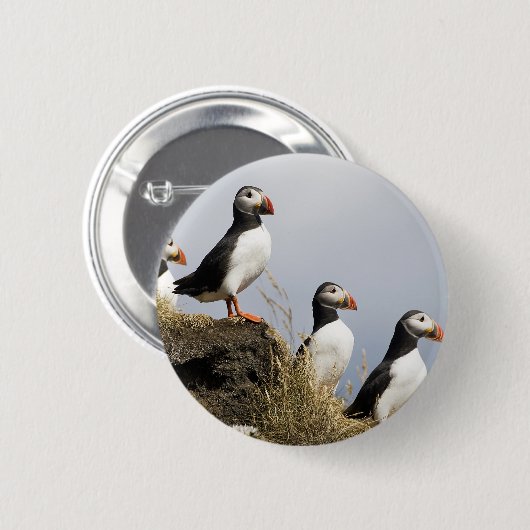 Papageientaucher Button (Vorne & Hinten)