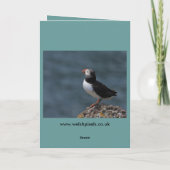 Papageientaucher-Gruß-Karten Karte (Rückseite)