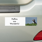 Papageientaucher I Autoaufkleber (Auf Auto)