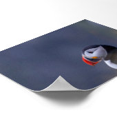 Papageientaucher in Island Poster (Ecke)