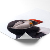 Papageientaucher in Island Poster (Ecke)