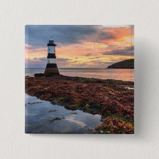 Papageientaucher-Insel des Penmon Button (Vorderseite)