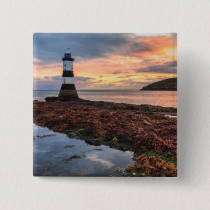Papageientaucher-Insel des Penmon Button