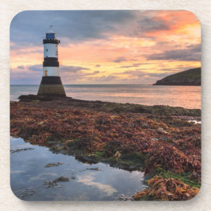 Papageientaucher-Insel des Penmon Getränkeuntersetzer