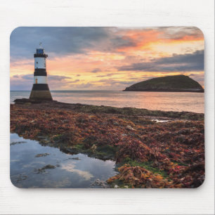 Papageientaucher-Insel des Penmon Mousepad