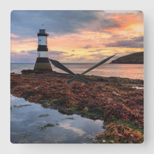 Papageientaucher-Insel des Penmon Quadratische Wanduhr