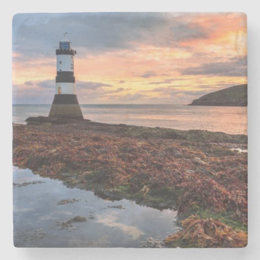 Papageientaucher-Insel des Penmon Steinuntersetzer (Vorderseite)