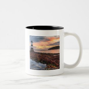 Papageientaucher-Insel des Penmon Zweifarbige Tasse