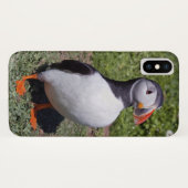 Papageientaucher iPhone X Fall Case-Mate iPhone Hülle (Rückseite (Horizontal))