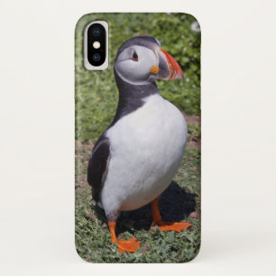 Papageientaucher iPhone X Fall Case-Mate iPhone Hülle