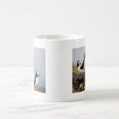 Papageientaucher Kaffeetasse (Mittel)