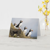 Papageientaucher Karte (Gelbe Blume)