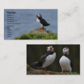 Papageientaucher-Karte Visitenkarte (Vorne/Hinten)
