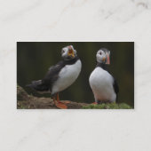 Papageientaucher-Karte Visitenkarte (Rückseite)