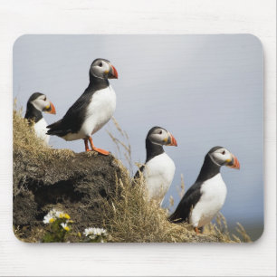 Papageientaucher Mousepad