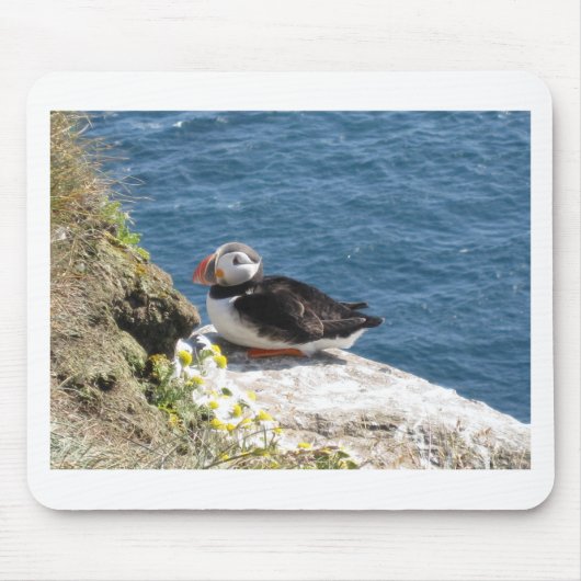 Papageientaucher Mousepad (Vorne)