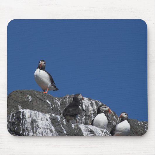 Papageientaucher Mousepad (Vorne)