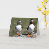 Papageientaucher-Paarraum-Grußkarte Karte (Gelbe Blume)