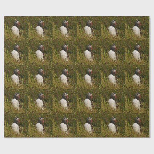 Papageientaucher-Packpapier Geschenkpapier (Flach)