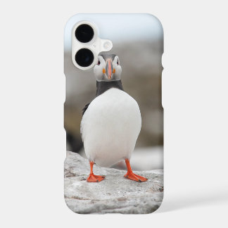 Papageientaucher starker Iphone 7 Fall