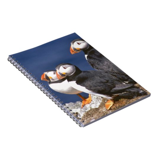 Papageientaucher-tastic Notizblock (Rechte Seite)