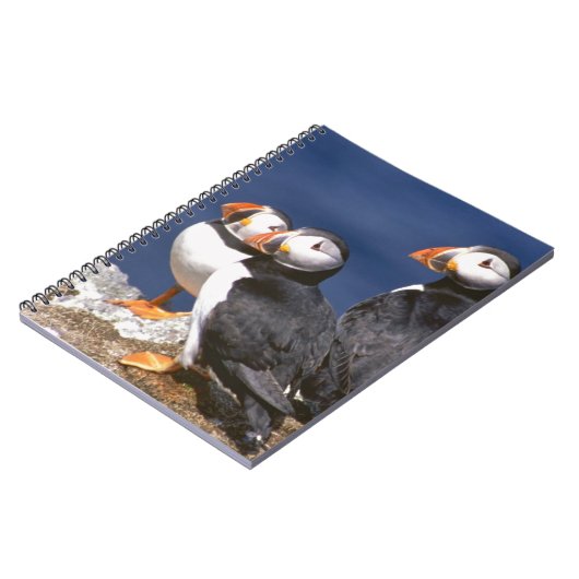 Papageientaucher-tastic Notizblock (Linke Seite)