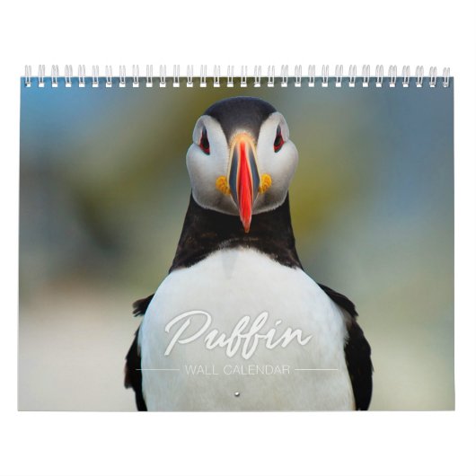 Papageientaucher-Wandkalender Kalender (Titelbild)