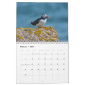 Papageientaucher-Wandkalender Kalender (Feb 2027)