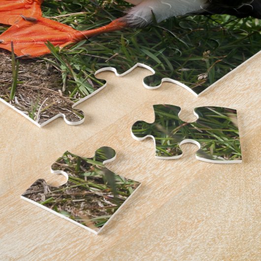 PapageientaucherFratercula arctica bei Látrabjarg Puzzle (Seite)