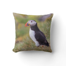 Papageientaucherkissen