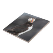 Papageientauchervogel Fliese (Seite)