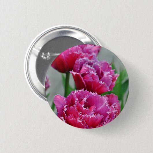 Papageientulis Button (Vorne & Hinten)