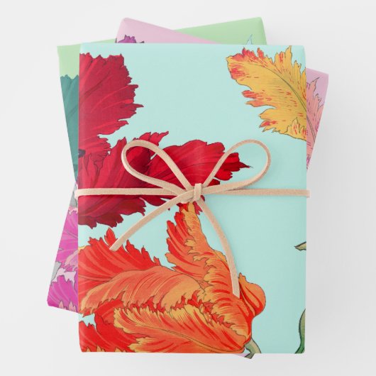 Papageientuppe Geschenkpapier Set (Beispiel)