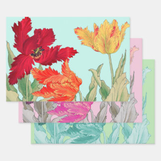 Papageientuppe Geschenkpapier Set
