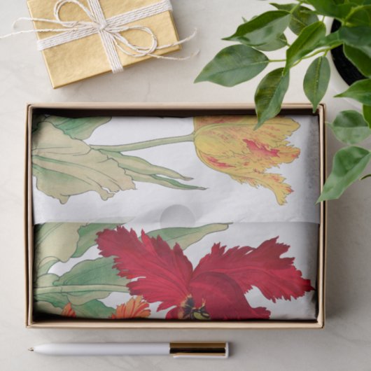 Papageientuppe Seidenpapier (Geschenk)