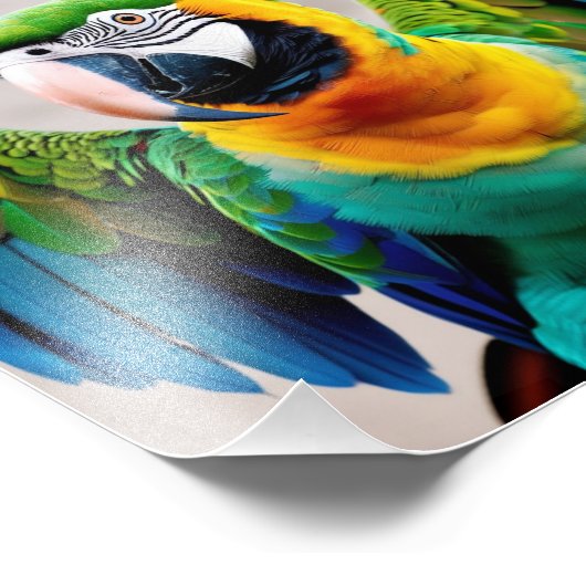 Papageienvogel Fotodruck (Ecke)